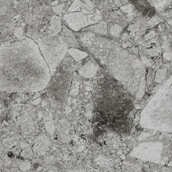 Frame_wild-stone-1