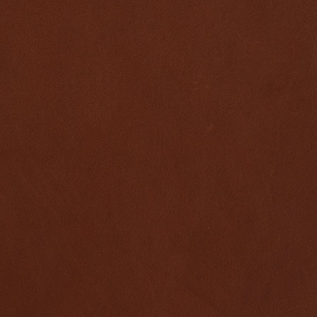 Freifrau_Sahara_cognac
