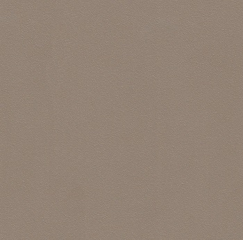thermo-lacquered-aluminium-bronze-texture