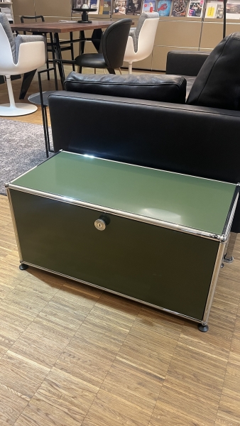 USM Haller Stauraum 1x1 mit 1 Klappture olivgrun